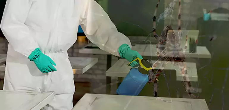 Why Buyers Still Want Homes With Pest Infestations in Fairhope, AL?