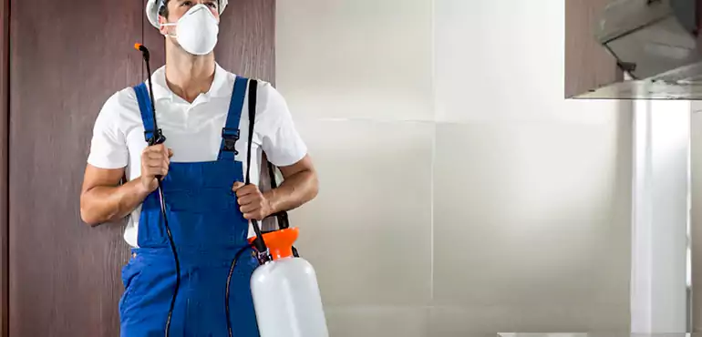 Why Fairhope Homeowners Choose Us When Pests Make Selling Difficult