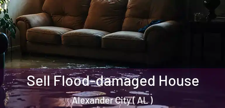  Sell Flood-damaged House Alexander City ( AL )