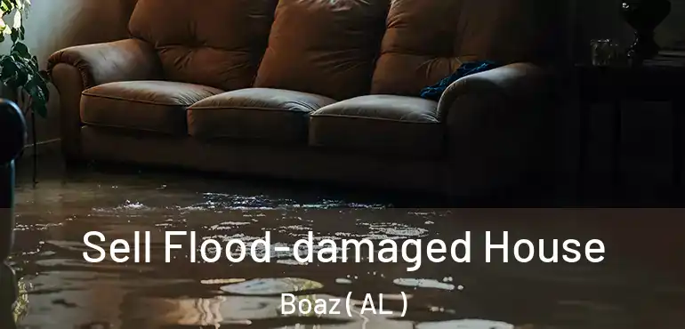  Sell Flood-damaged House Boaz ( AL )