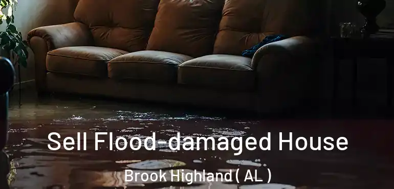  Sell Flood-damaged House Brook Highland ( AL )