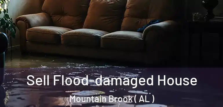  Sell Flood-damaged House Mountain Brook ( AL )