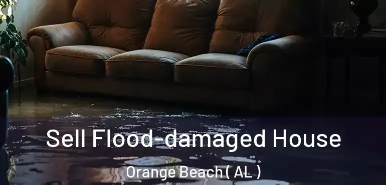  Sell Flood-damaged House Orange Beach ( AL )