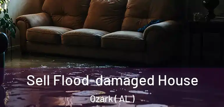  Sell Flood-damaged House Ozark ( AL )