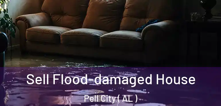  Sell Flood-damaged House Pell City ( AL )