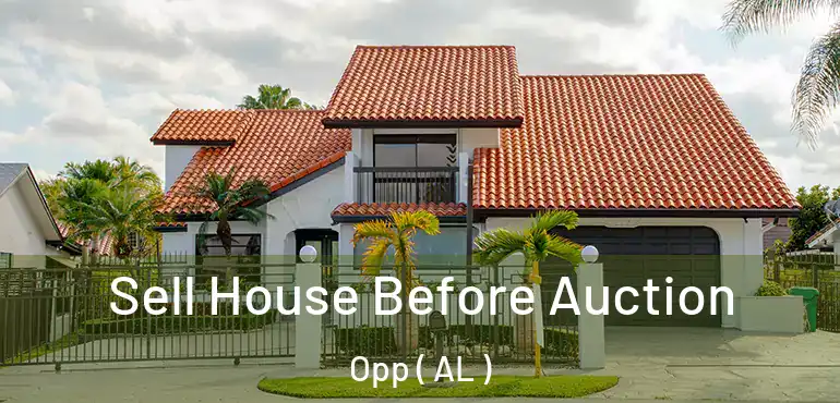  Sell House Before Auction Opp ( AL )