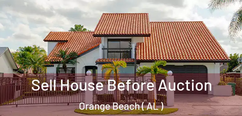  Sell House Before Auction Orange Beach ( AL )