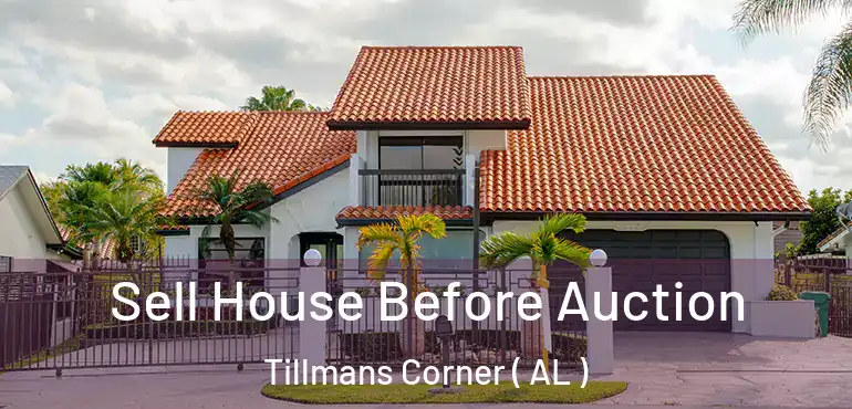  Sell House Before Auction Tillmans Corner ( AL )
