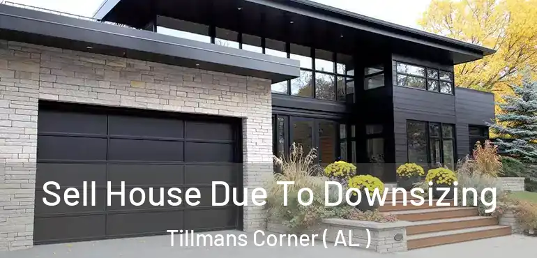  Sell House Due To Downsizing Tillmans Corner ( AL )