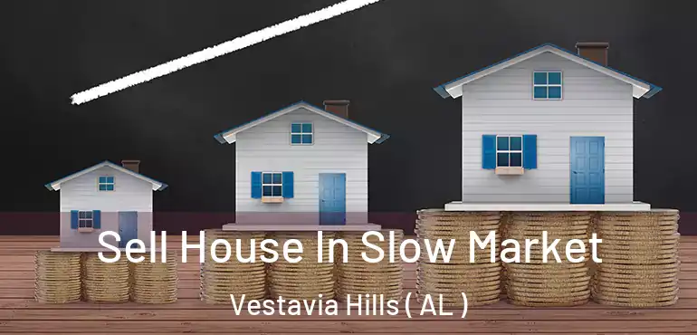  Sell House In Slow Market Vestavia Hills ( AL )