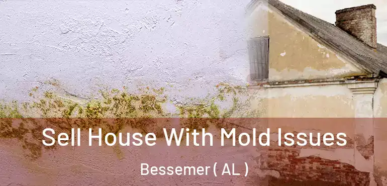  Sell House With Mold Issues Bessemer ( AL )