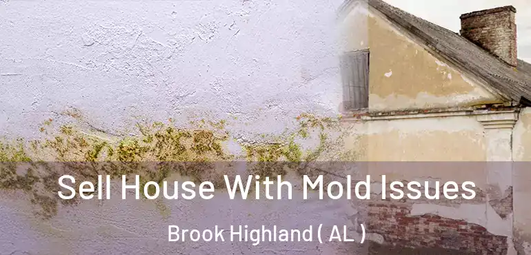  Sell House With Mold Issues Brook Highland ( AL )