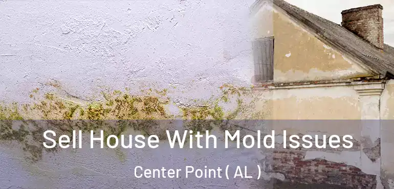  Sell House With Mold Issues Center Point ( AL )