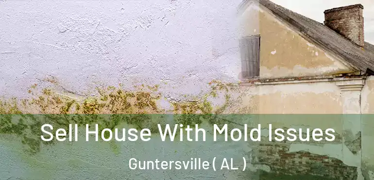  Sell House With Mold Issues Guntersville ( AL )
