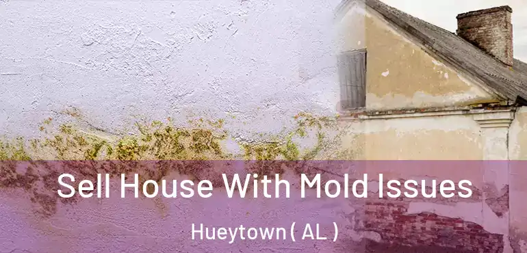  Sell House With Mold Issues Hueytown ( AL )