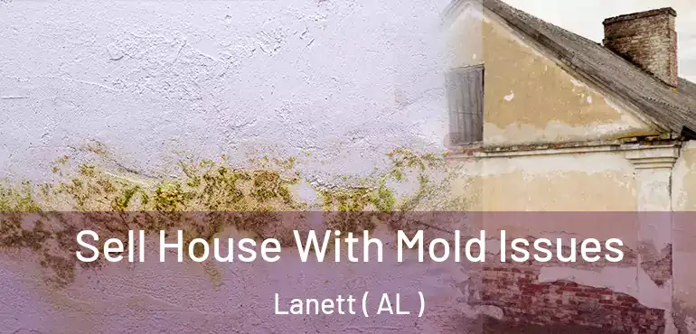  Sell House With Mold Issues Lanett ( AL )