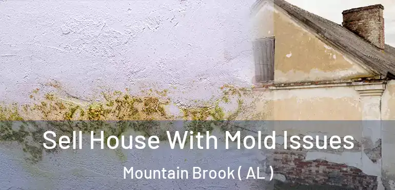  Sell House With Mold Issues Mountain Brook ( AL )