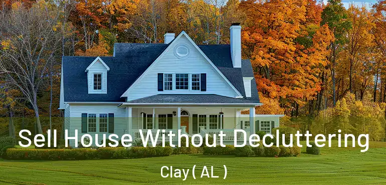  Sell House Without Decluttering Clay ( AL )