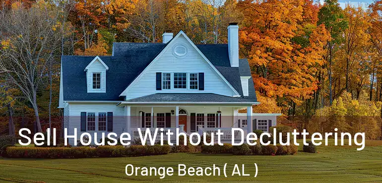  Sell House Without Decluttering Orange Beach ( AL )